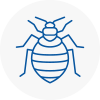 Bed Bug Extermination In Finsbury Park
