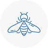 Bee Nest Removal Finsbury Park