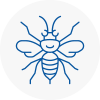 Finsbury Park Hornet Nest Removals