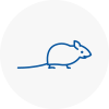 Mice Exterminators In Finsbury Park