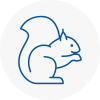 Finsbury Park Rodent Removals