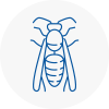 Finsbury Park Wasp Nest Removal